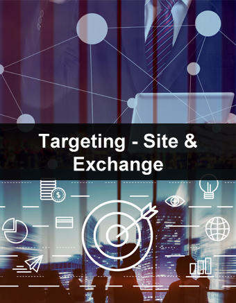 Targeting - Site & Exchange 